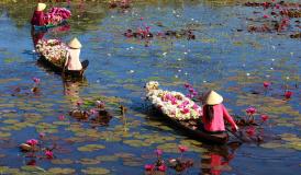 Mekong Delta