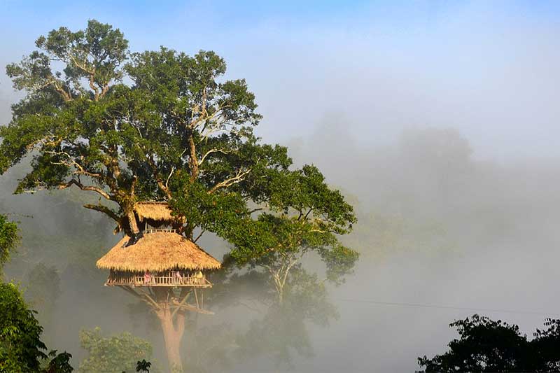 Bokeo Nature, Laos