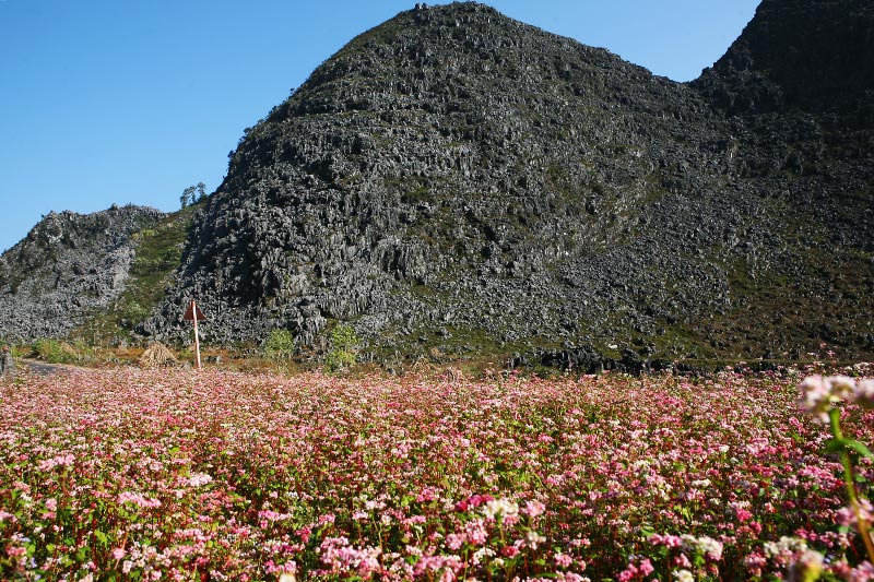 Vietnam Family Tours in Dong Van Karst Plateau