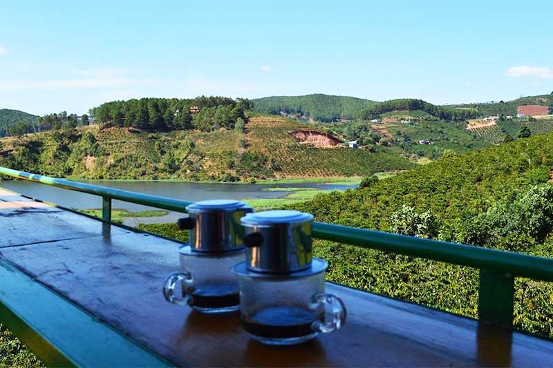 Coffee Plantation in Hanoi, Vietnam