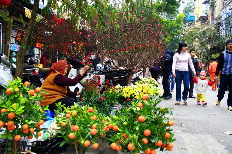 street vendor vietnam travel