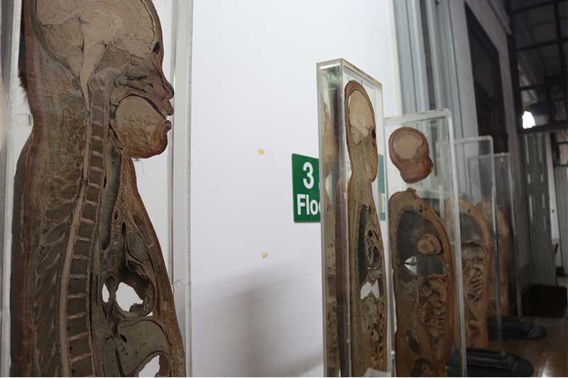 The Death Museum Thailand Thailand