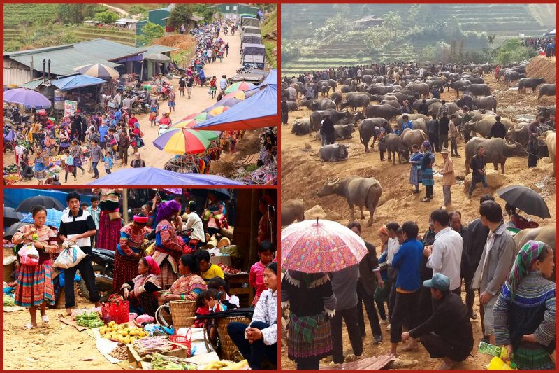 can20cau20weekly20market20lao20cai20in20vietnam Can Cau weekly market (Lao Cai) in Vietnam