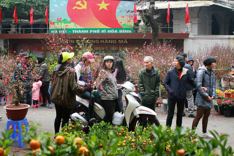 Flower Market in Vietnam Lunar New Year Flower Market in Vietnam