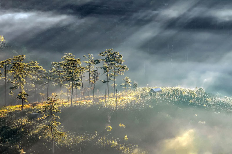 Dat Lat - Vietnam Vietnam Private Tours in Da Lat