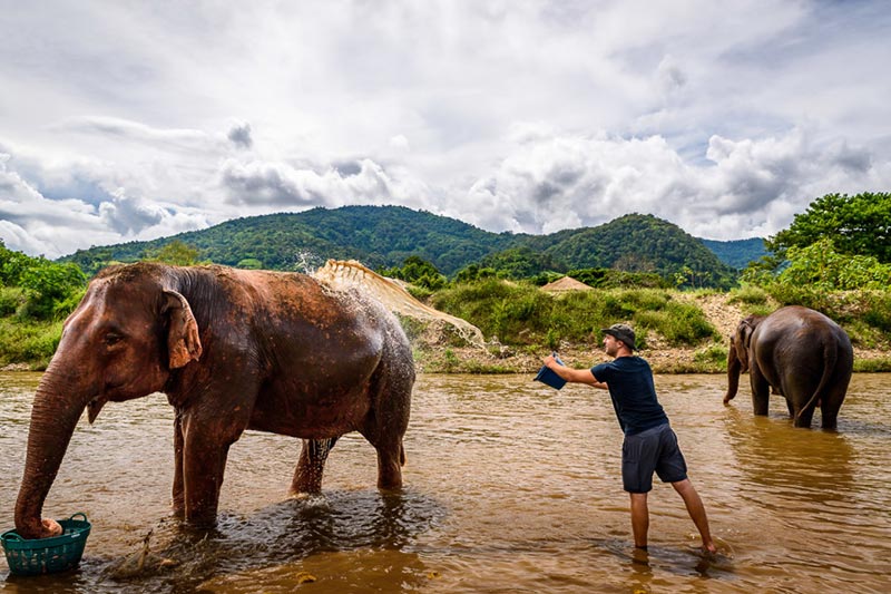 elephant-nature-park-kanchanaburi-thailand-tours elephant-nature-park-kanchanaburi-thailand-tours