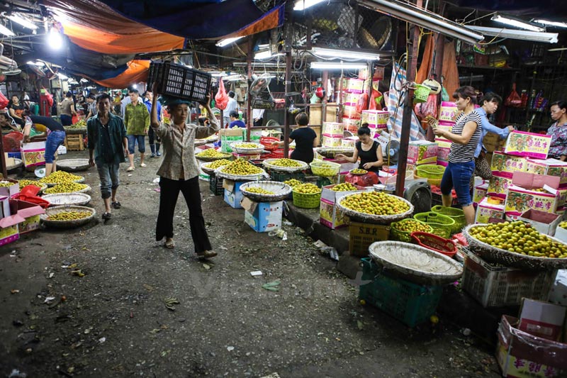 Visit :ong Bien market Long Bien market