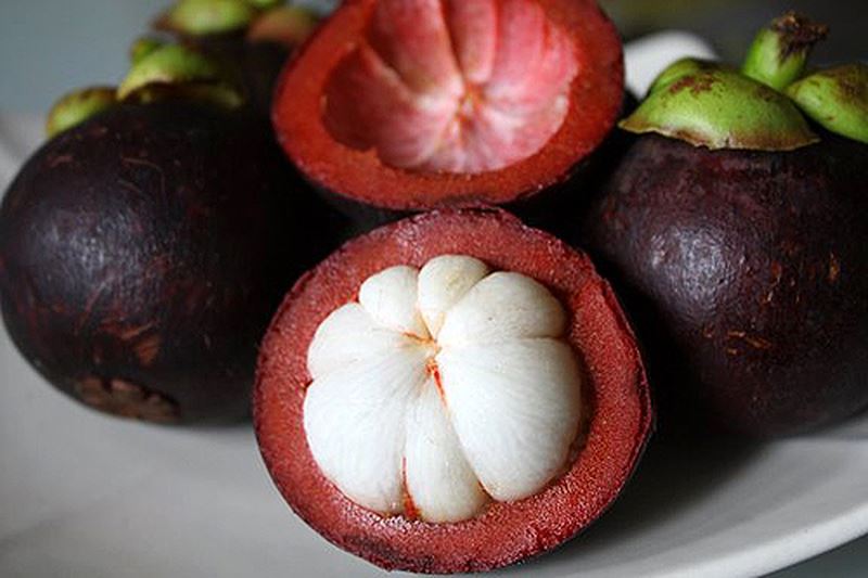 mangosteen in Vietnam mangosteen