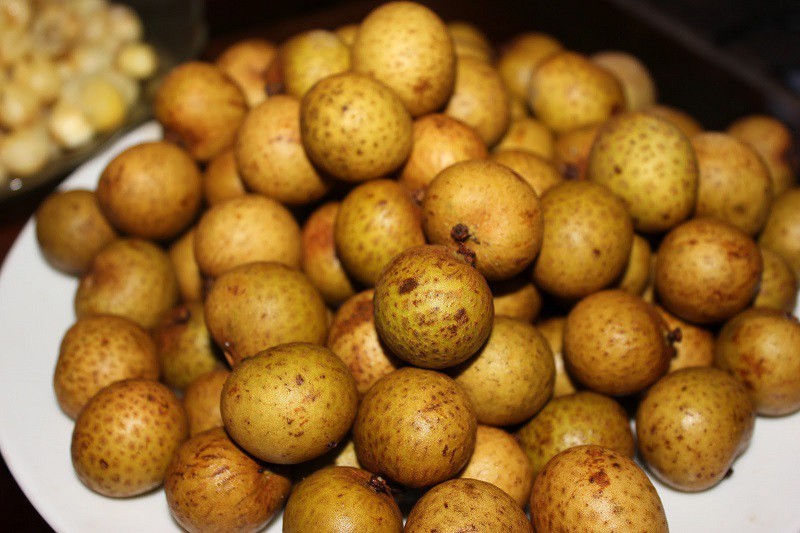 longan in Vietnam longan
