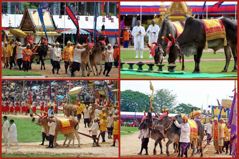 preah20neanng20korl20plowing20festival20in20cambodia Preah Neanng Korl plowing festival in Cambodia