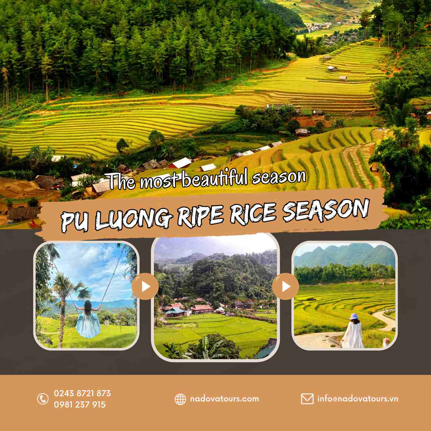 pu20luong20ripe20rice20season20-20the20most20beautiful20season20-20web Pu Luong ripe rice season - The most beautiful season