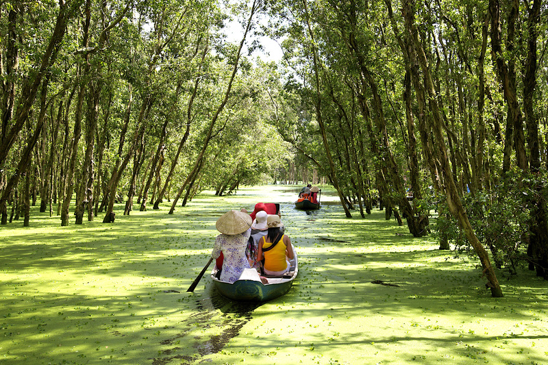 rung20tra20su20an20giang202 Tra Su Melaleuca Forest in An Giang