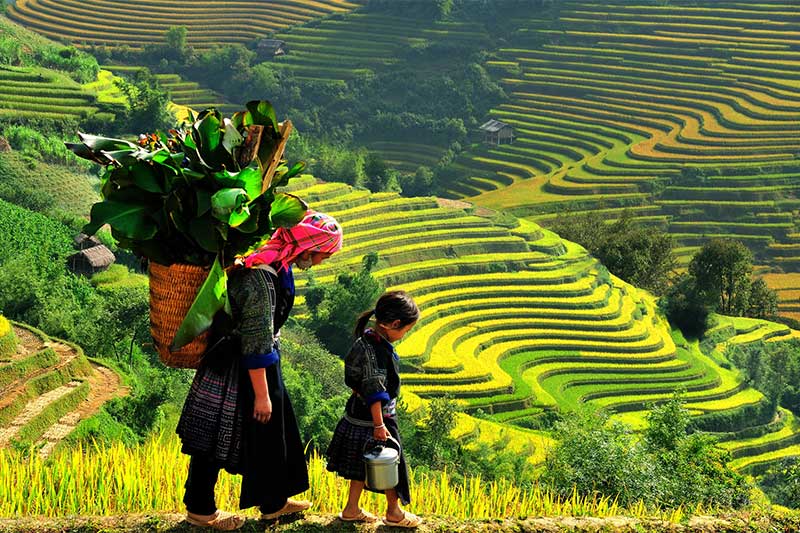 Sa Pa, Vietnam Sa Pa, Vietnam
