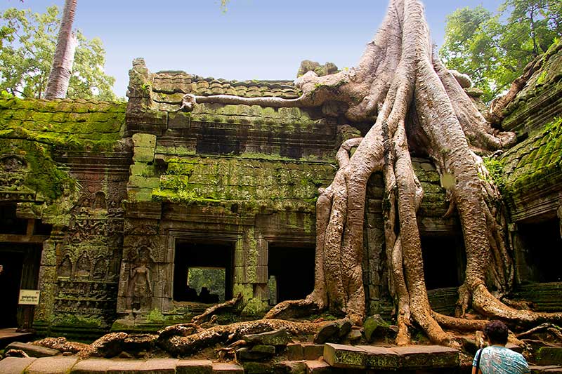 ‘‘Lara Croft: Tomb Raider” is filmed in Ta Prohm Ta Prohm