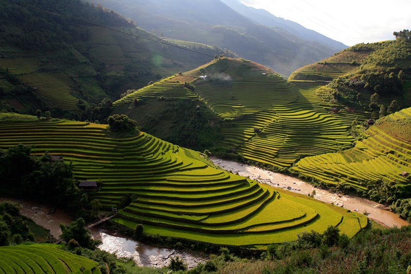 Terraced Field Sapa Sapa, Vietnam Private Tours