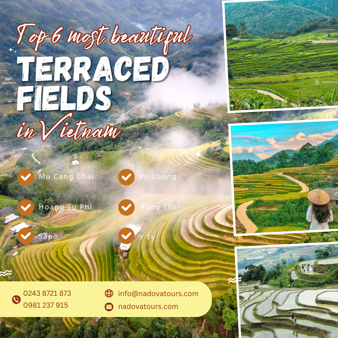 terraced20fields Terraced fields in Vietnam