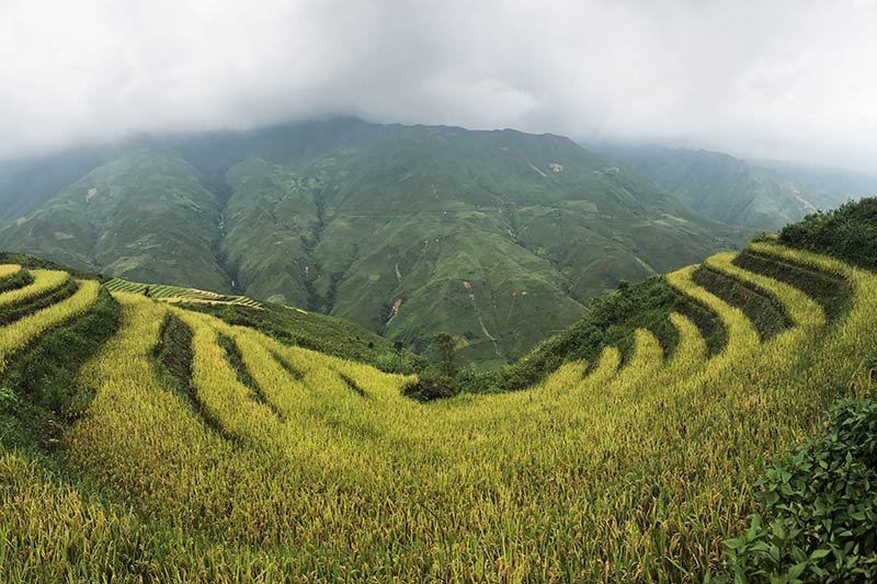 Terrice filed in Son La Terrice filed in Vietnam private tours