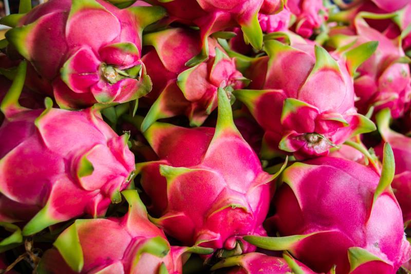 dragon fruits in Vietnam dragon fruits