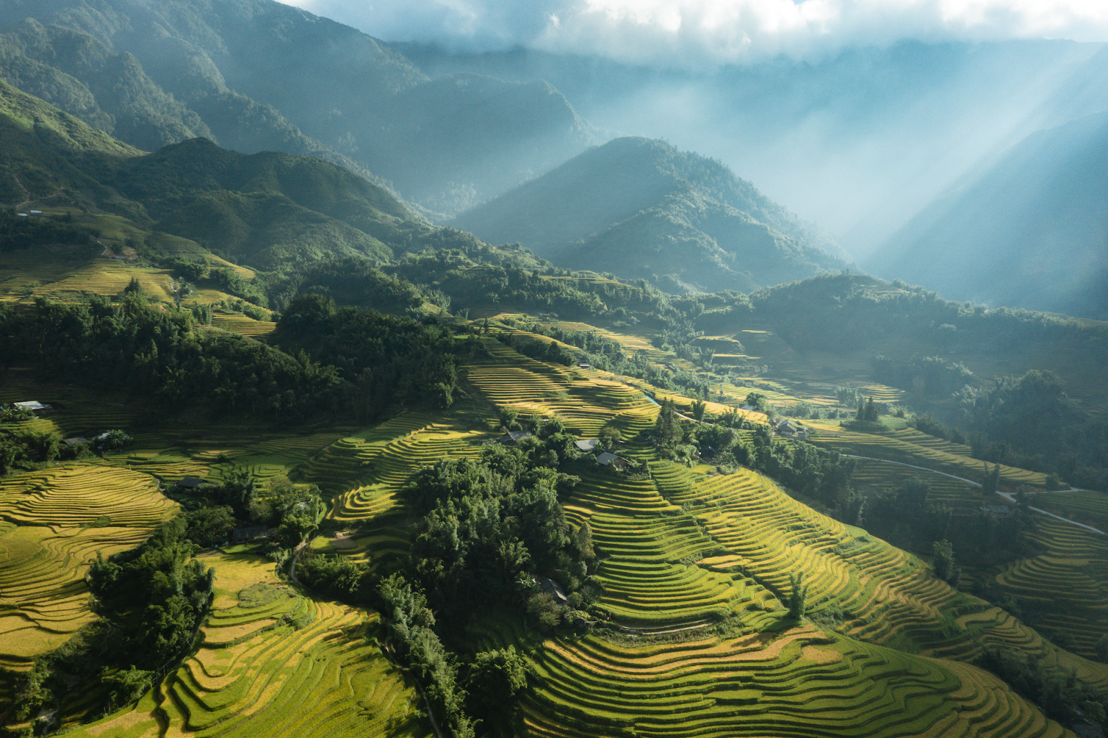 unnamed-7 sapa