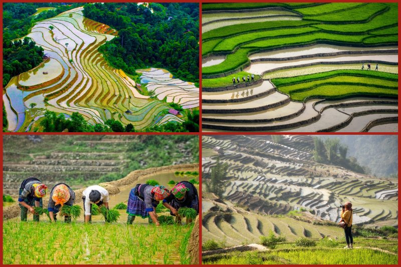 water20pouring20season20mu20cang20chai Water pouring season Mu Cang Chai