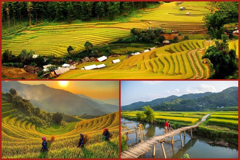 why20should20you20go20to20pu20luong20during20the20ripe20rice20season Pu Luong during the ripe rice season