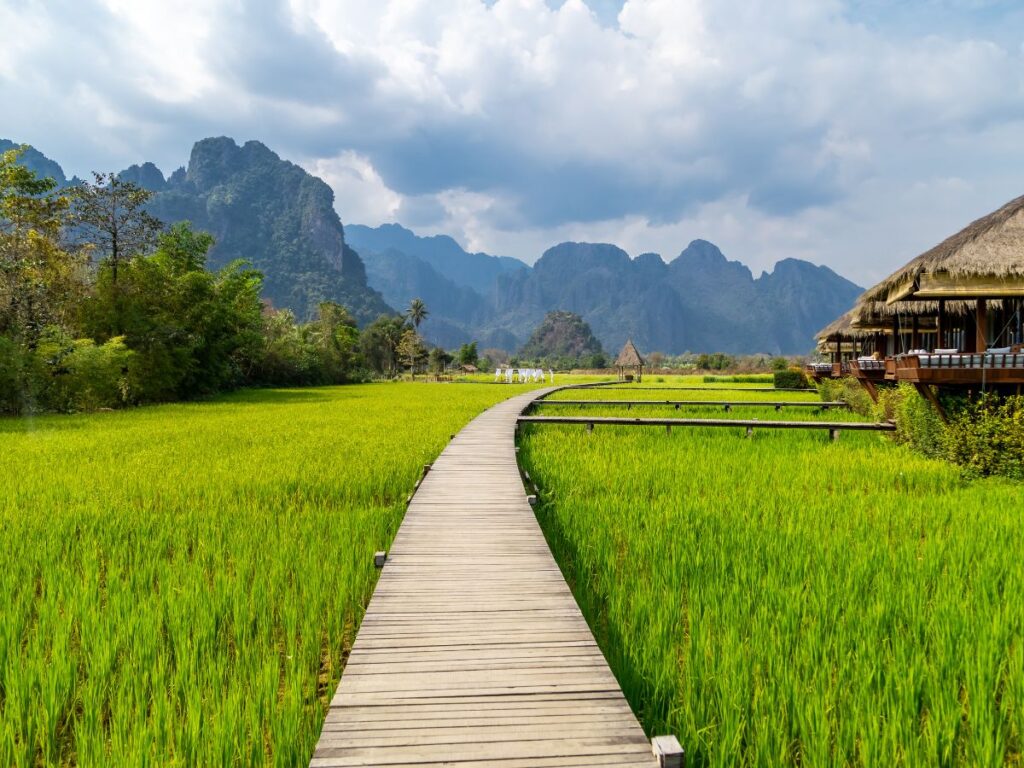 Among rice paddies and karst mountains in Vang Vieng, Laos