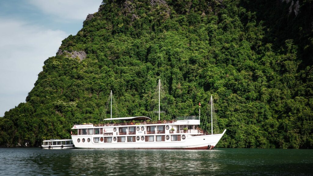 Calypso Cruise