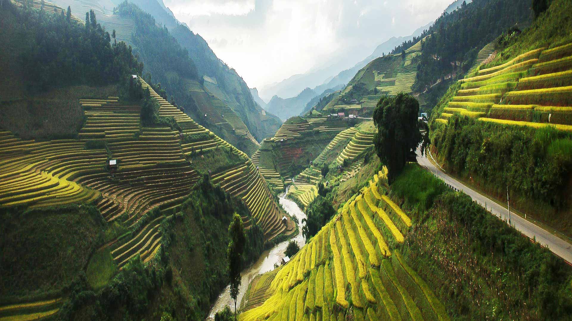 Travel to Vietnam